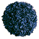 Hortensien Natural Blau
